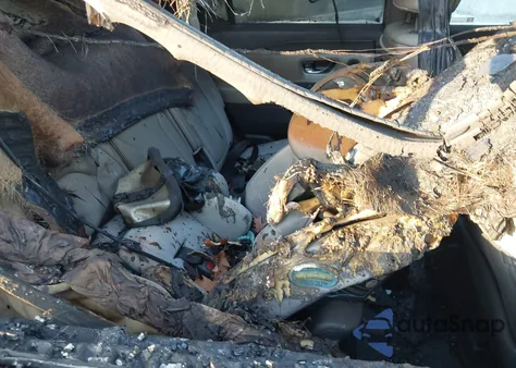 2025 Honda Pilot Elite из США, поврежденный, VIN 5FNYG1H8XSB157800